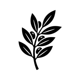 Grammatikakis Organic